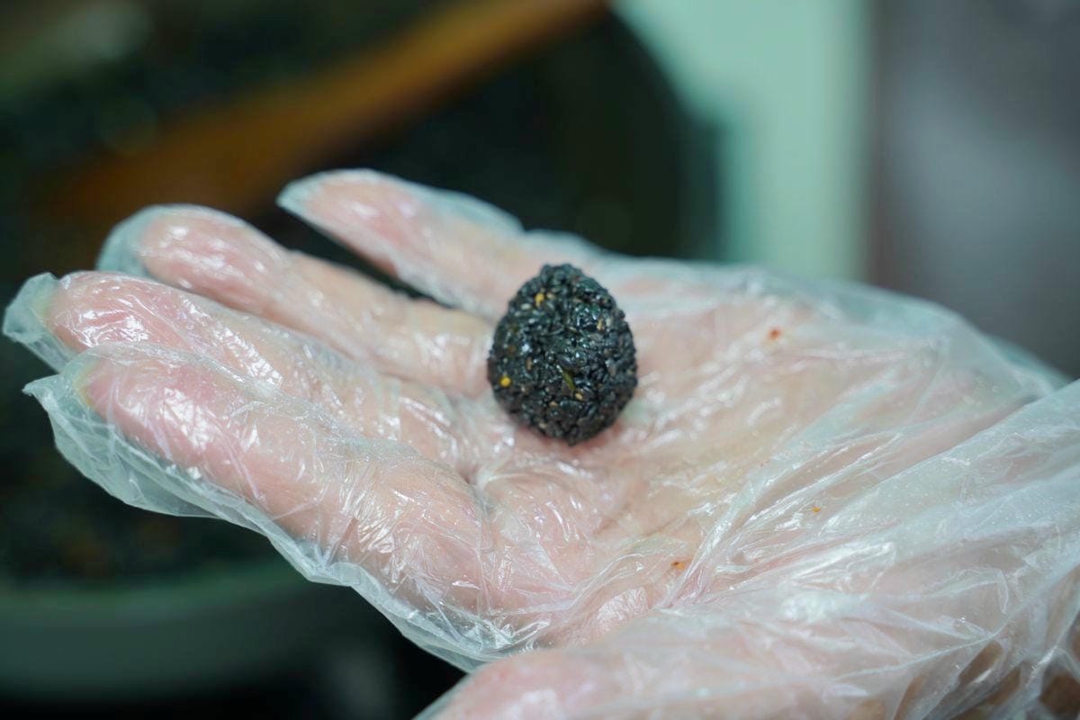 【台南善化溪美社區】台南金牌農村潛力社區 溪美社區活動中心當季農特產DIY 華瑞生態園區探訪埤塘水圳生態之美