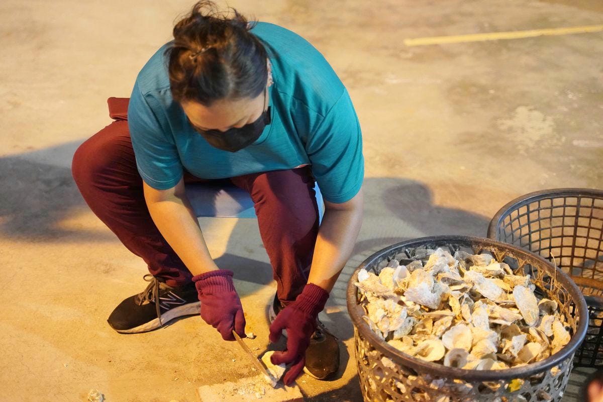 【台南北門蘆竹溝社區】蘆竹溝蚵學園區體驗魚丸/蚵仔碗糕DIY 產地到餐桌漁村風味餐