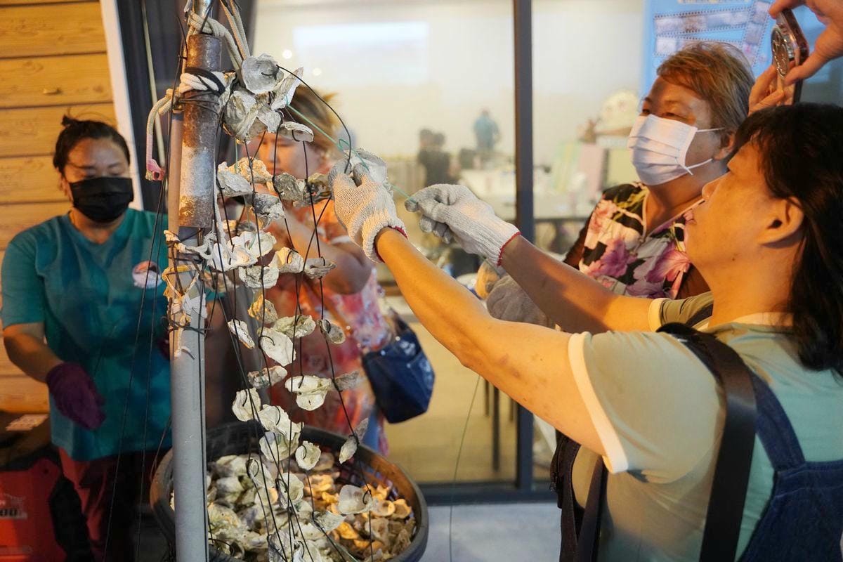 【台南北門蘆竹溝社區】蘆竹溝蚵學園區體驗魚丸/蚵仔碗糕DIY 產地到餐桌漁村風味餐