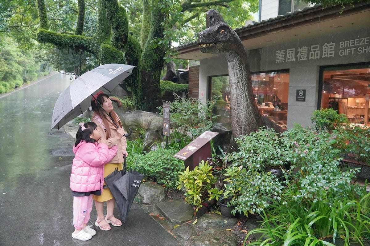 【大板根森林溫泉酒店】恐龍親子主題客房 免費露天溫泉/兒童遊戲室 三峽親子住宿首選