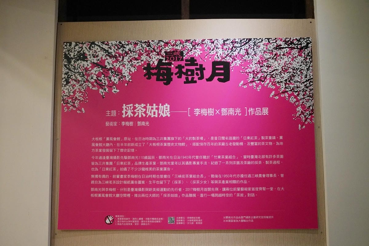 【大板根森林溫泉酒店】恐龍親子主題客房 免費露天溫泉/兒童遊戲室 三峽親子住宿首選