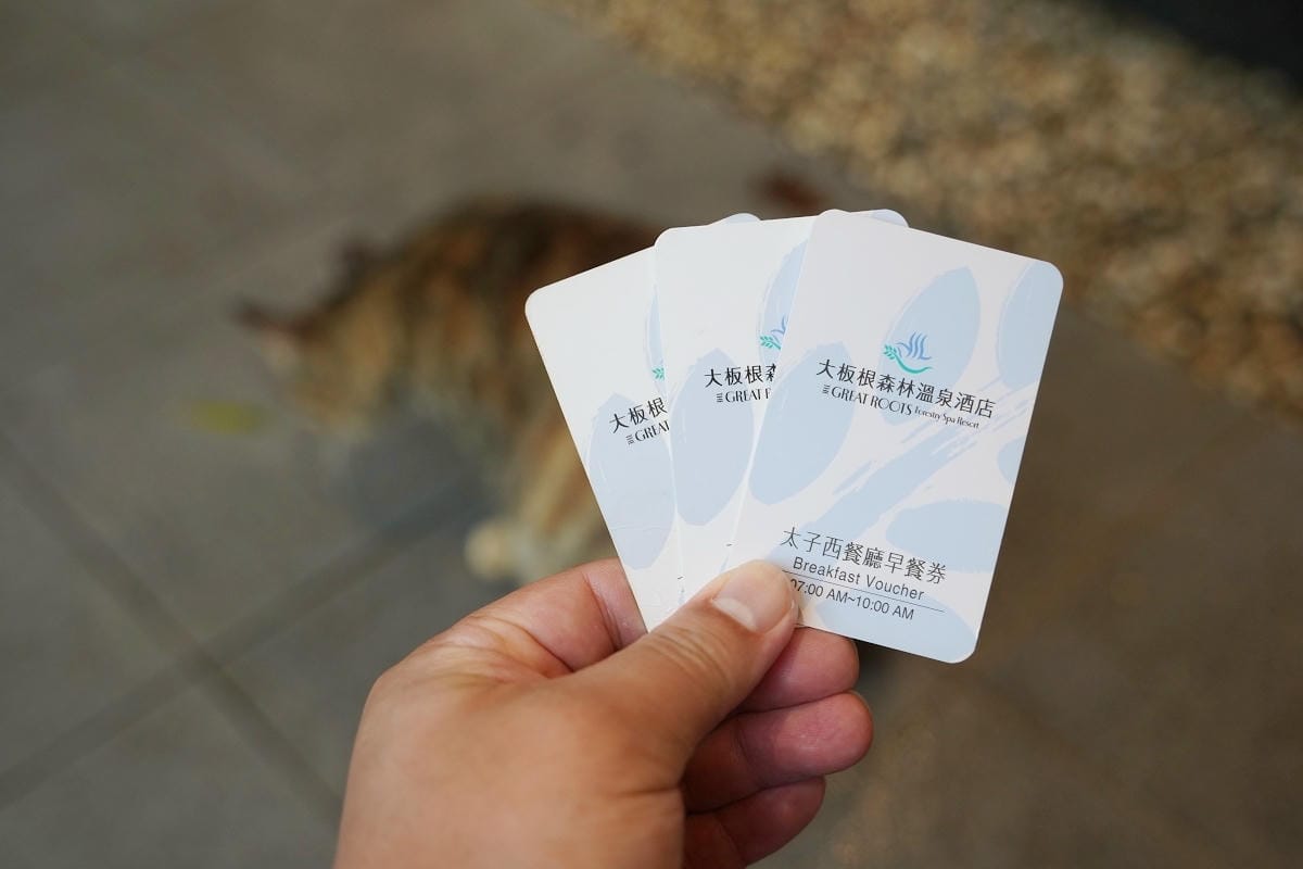 【大板根森林溫泉酒店】恐龍親子主題客房 免費露天溫泉/兒童遊戲室 三峽親子住宿首選