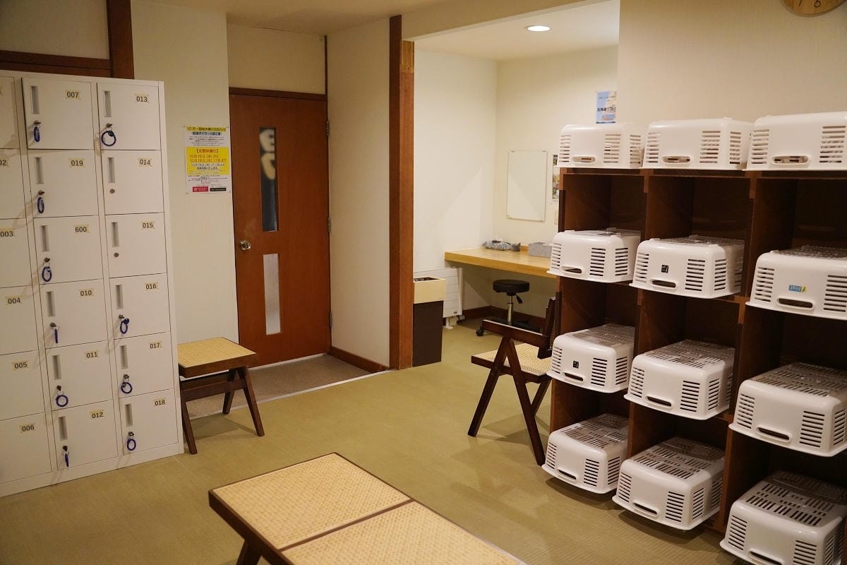 【占冠湯の沢溫泉森の四季】北海道富良野溫泉旅館推薦 一泊二食占冠村冷礦泉 特色鹿肉料理必嚐