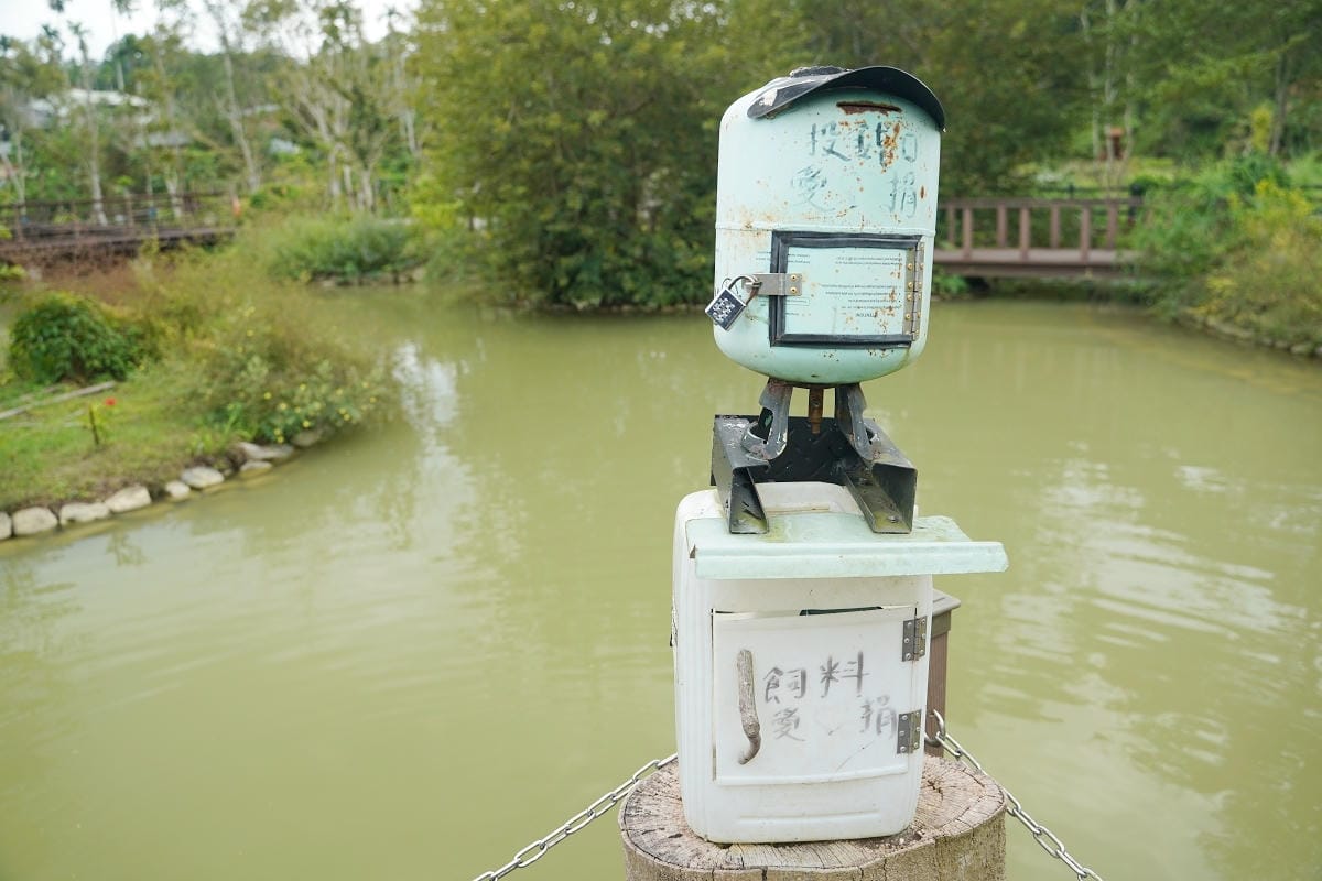 【漫心湖公園】南投魚池免費景點推薦 台版侏羅紀公園竹製暴龍超可愛 竹構藝術「呼吸」自然共生