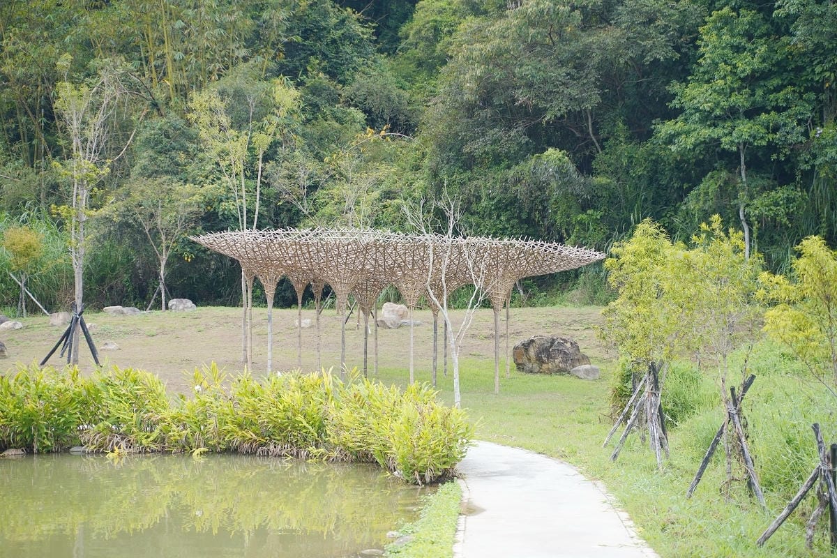 【漫心湖公園】南投魚池免費景點推薦 台版侏羅紀公園竹製暴龍超可愛 竹構藝術「呼吸」自然共生