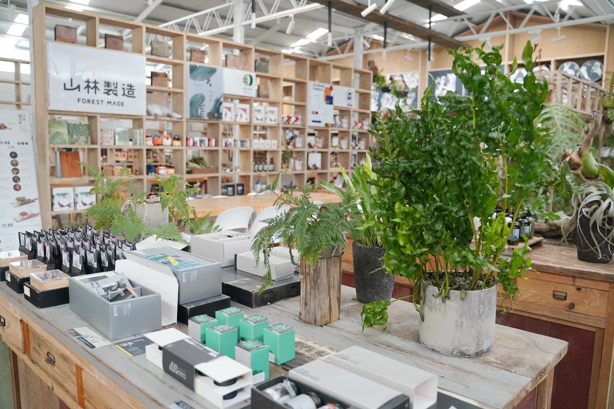 【空氣圖書館 AIR LIBRARY】嘉義梅山太平免費網美景點 滿室綠意蕨類植物+文創商品 - 第5張圖 【空氣圖書館 AIR LIBRARY】嘉義梅山太平免費網美景點 滿室綠意蕨類植物+文創商品