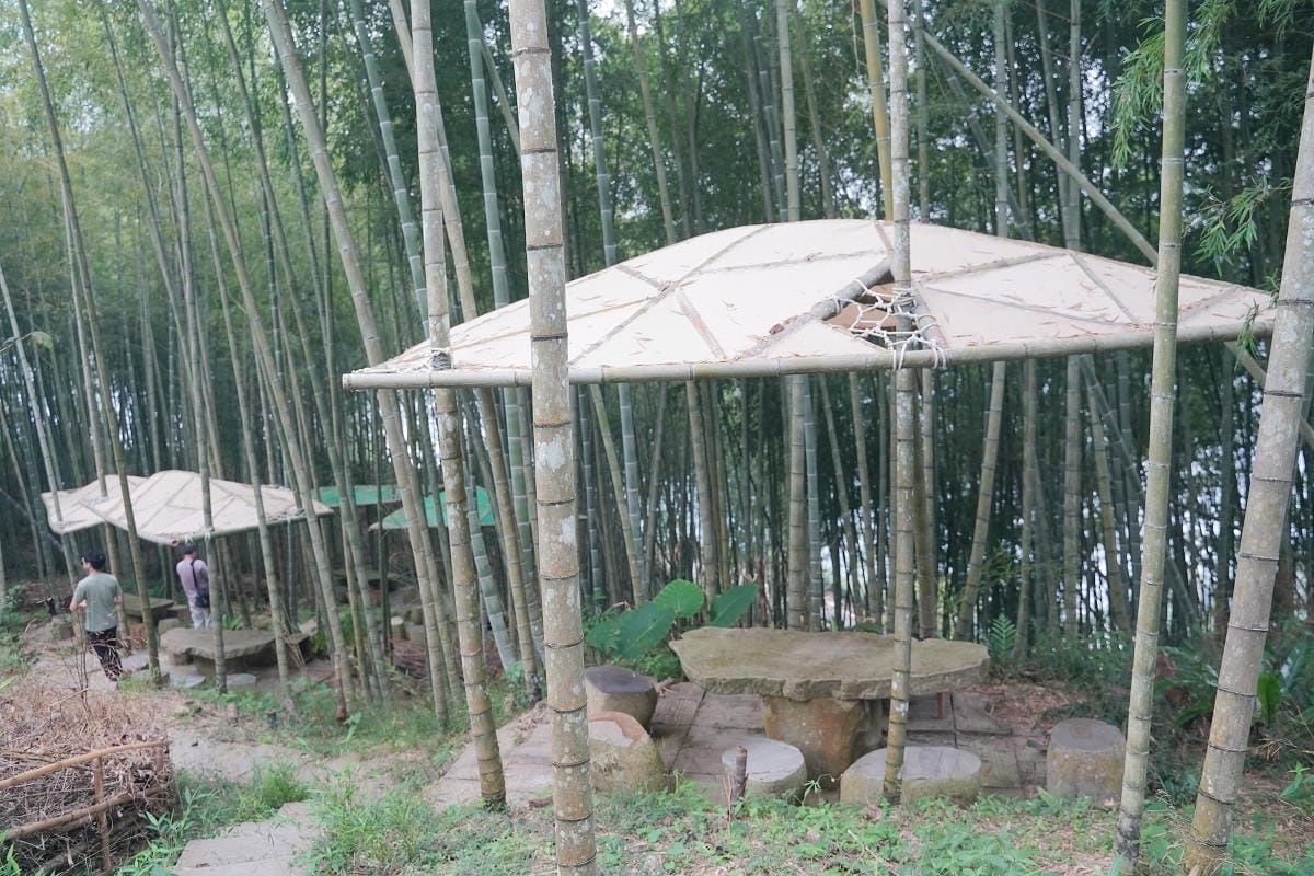 【嘉義梅山瑞峰竹林茶席】「森然有茶香」竹構作品 山麻雀意象+水波紋竹林步道+竹平台茶席裝置