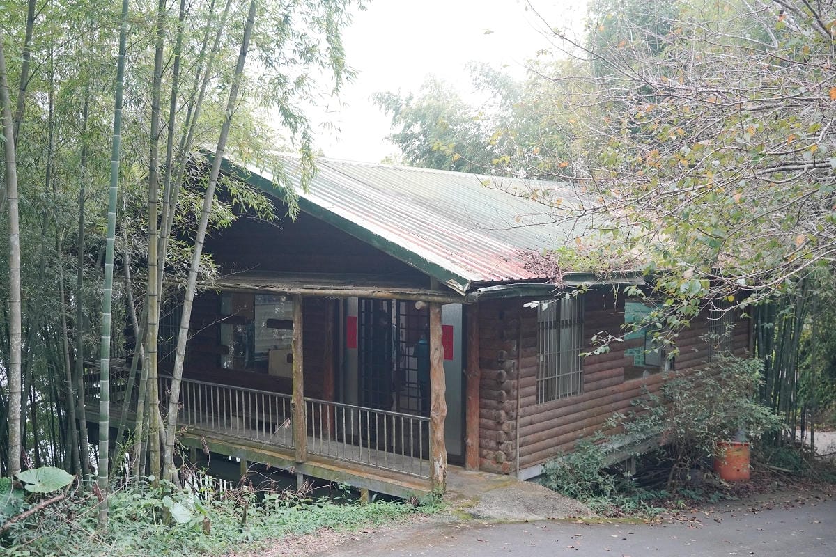 【嘉義梅山瑞峰竹林茶席】「森然有茶香」竹構作品 山麻雀意象+水波紋竹林步道+竹平台茶席裝置