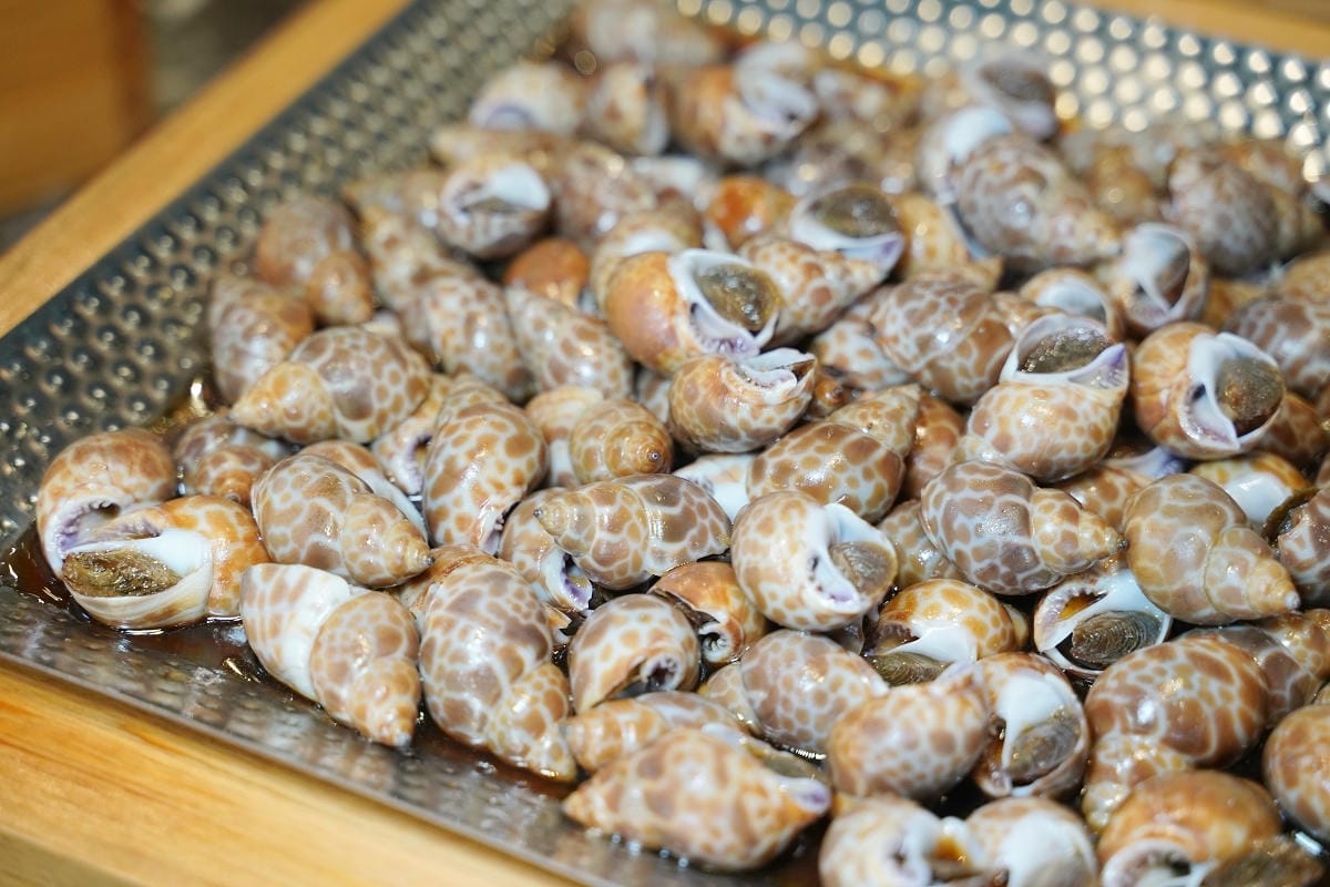【羽葉麻辣火鍋三重火鍋吃到飽推薦】和牛海鮮 哈根達斯迷你杯/雪糕無限量供應 超大千坪停車場 - 第15張圖 【羽葉麻辣火鍋三重火鍋吃到飽推薦】和牛海鮮 哈根達斯迷你杯/雪糕無限量供應 超大千坪停車場