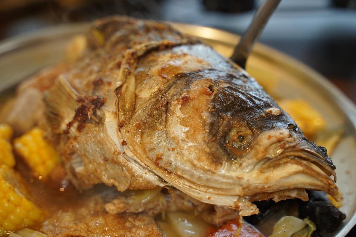 【玉蘭砂鍋魚頭私房料理二訪】龍潭必吃美食餐廳免費停車場 創立於1966年傳承三代好味道