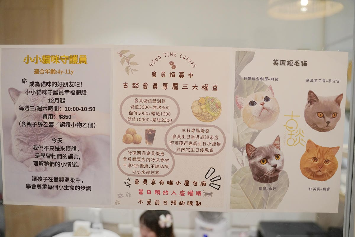 【古舕咖啡三重同安店】貓屋預約制深度體驗 與貓咪共處的療癒時光 三重貓咪咖啡館下午茶推薦