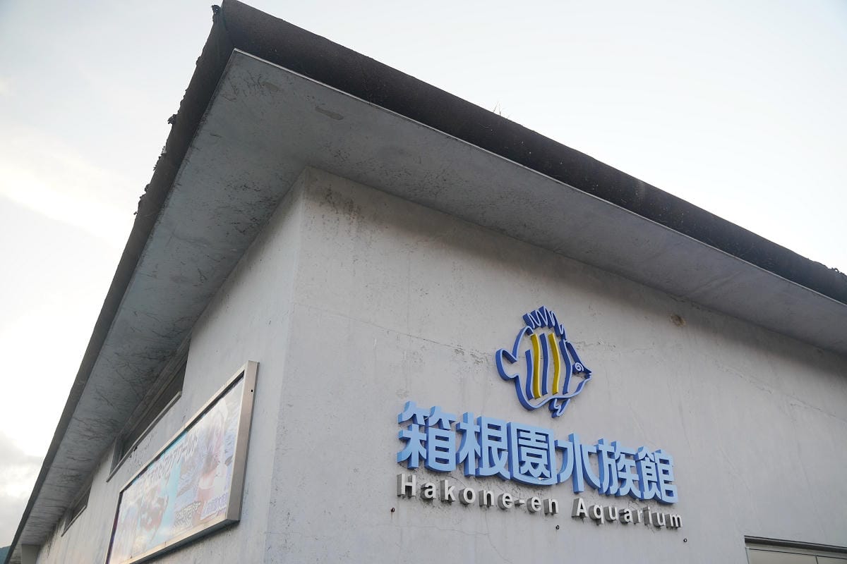 【箱根園水族館】箱根室內景點推薦 日本海拔最高水族館 亞洲小爪水獺握手/貝加爾海豹/可愛企鵝