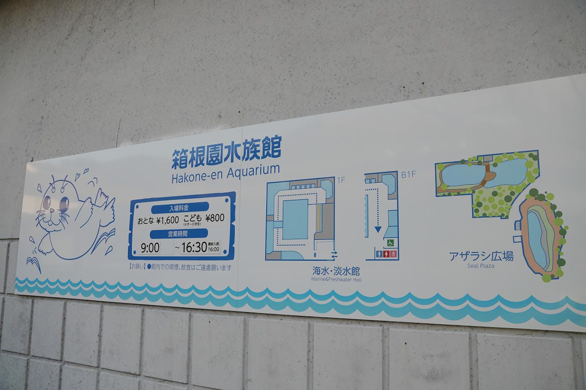 【箱根園水族館】箱根室內景點推薦 日本海拔最高水族館 亞洲小爪水獺握手/貝加爾海豹/可愛企鵝