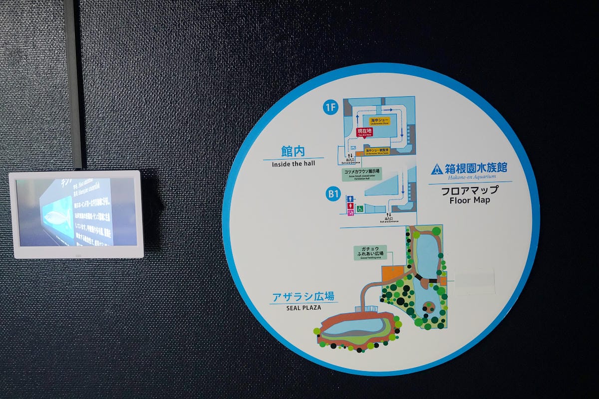 【箱根園水族館】箱根室內景點推薦 日本海拔最高水族館 亞洲小爪水獺握手/貝加爾海豹/可愛企鵝