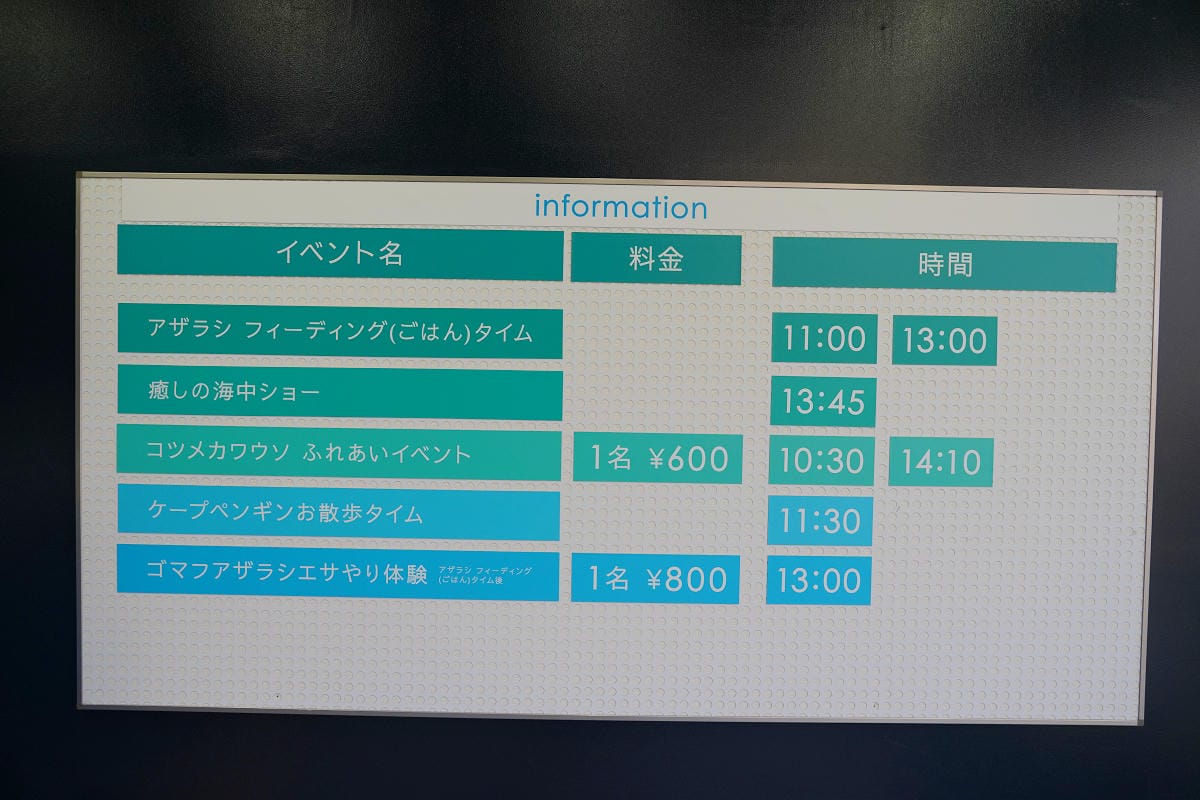 【箱根園水族館】箱根室內景點推薦 日本海拔最高水族館 亞洲小爪水獺握手/貝加爾海豹/可愛企鵝