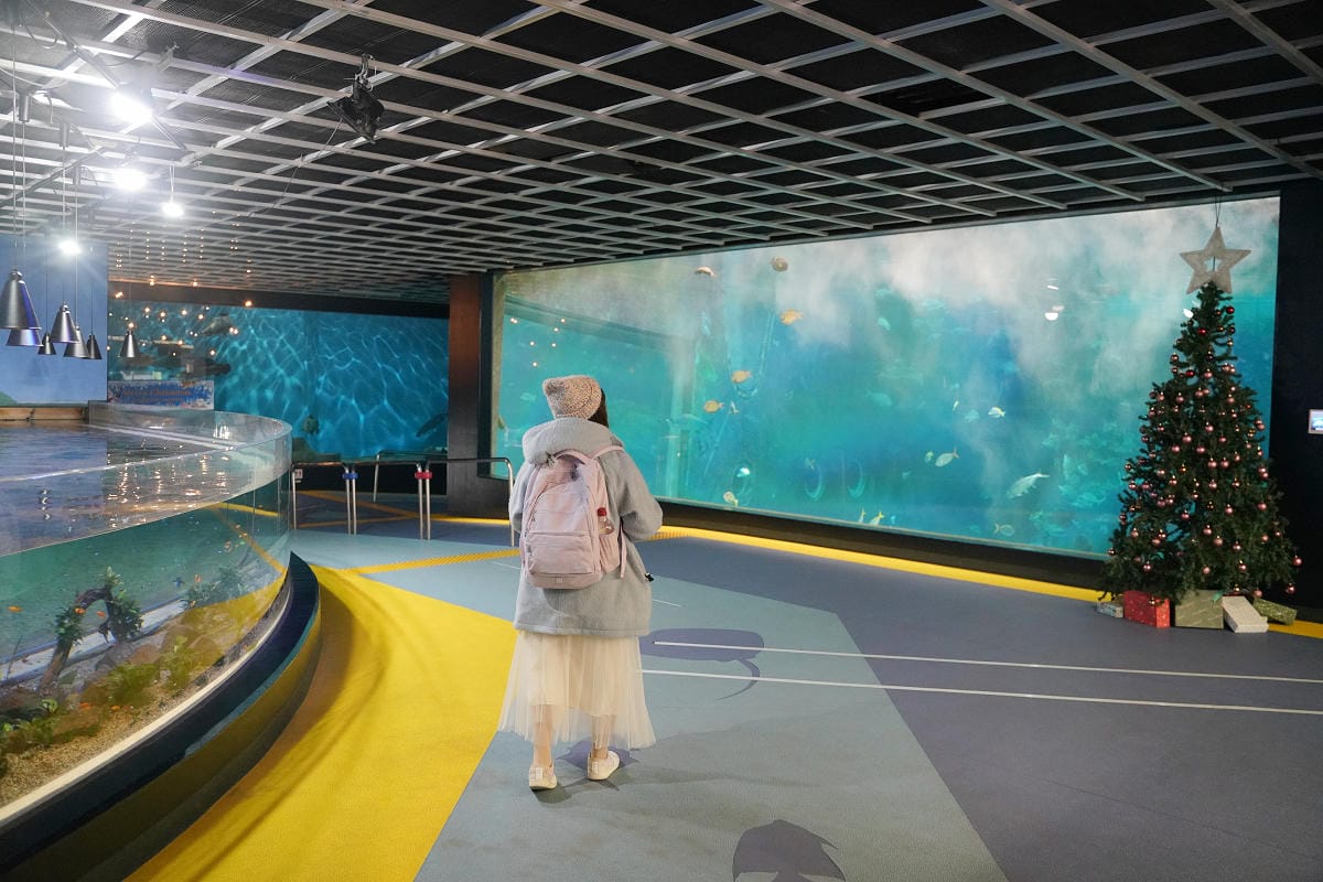 【箱根園水族館】箱根室內景點推薦 日本海拔最高水族館 亞洲小爪水獺握手/貝加爾海豹/可愛企鵝