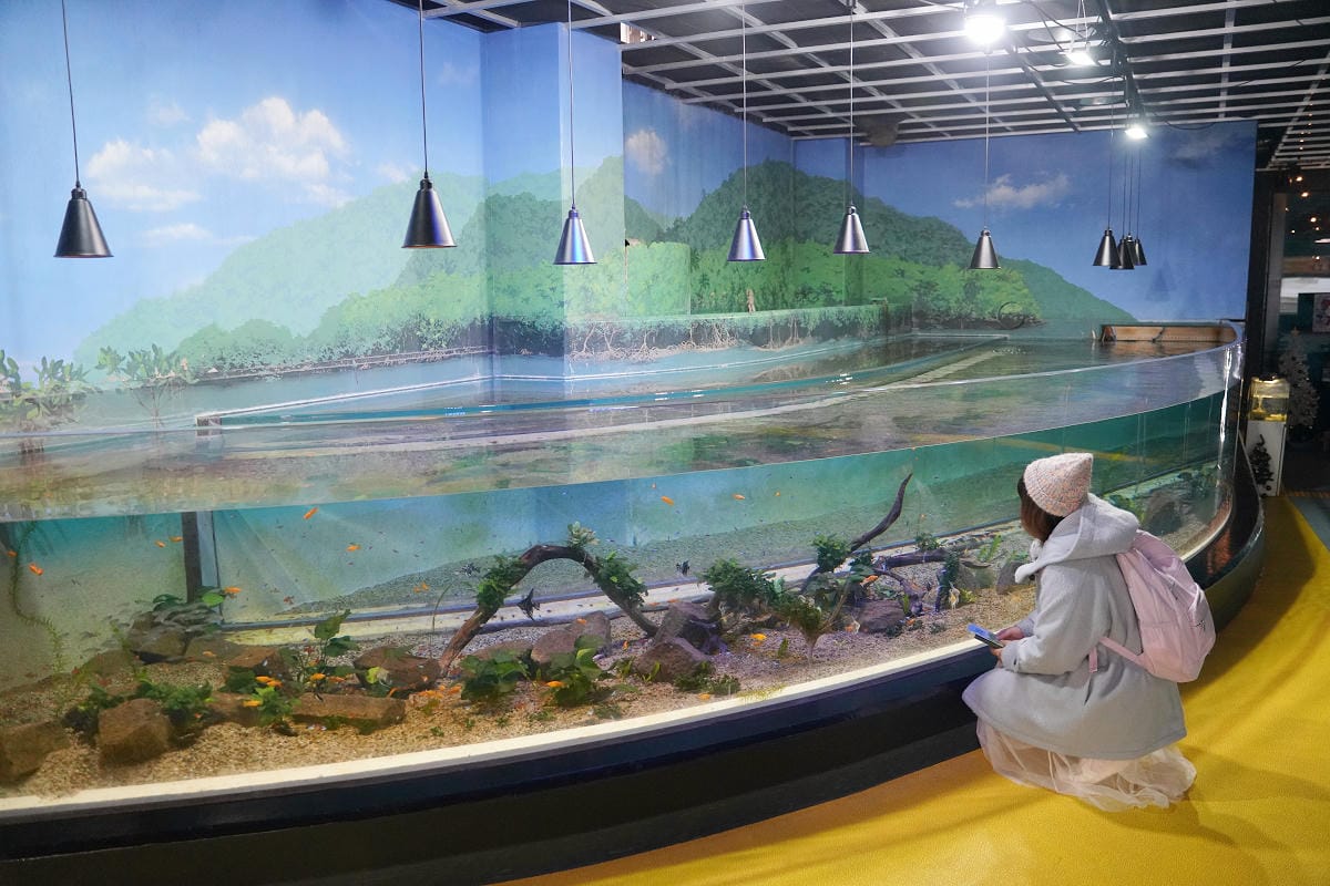【箱根園水族館】箱根室內景點推薦 日本海拔最高水族館 亞洲小爪水獺握手/貝加爾海豹/可愛企鵝