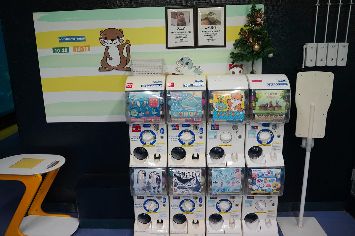 【箱根園水族館】箱根室內景點推薦 日本海拔最高水族館 亞洲小爪水獺握手/貝加爾海豹/可愛企鵝