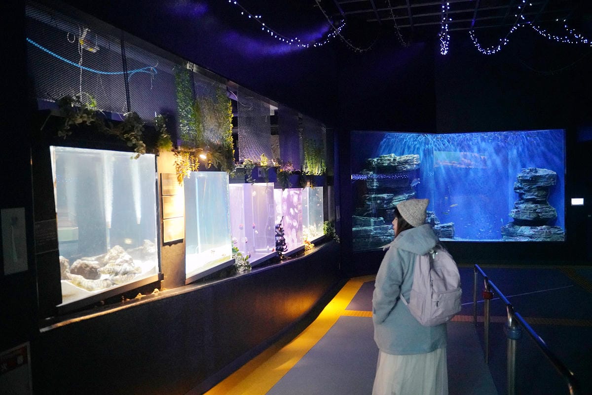 【箱根園水族館】箱根室內景點推薦 日本海拔最高水族館 亞洲小爪水獺握手/貝加爾海豹/可愛企鵝