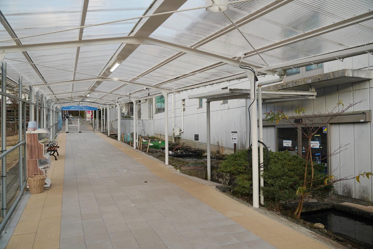 【箱根園水族館】箱根室內景點推薦 日本海拔最高水族館 亞洲小爪水獺握手/貝加爾海豹/可愛企鵝