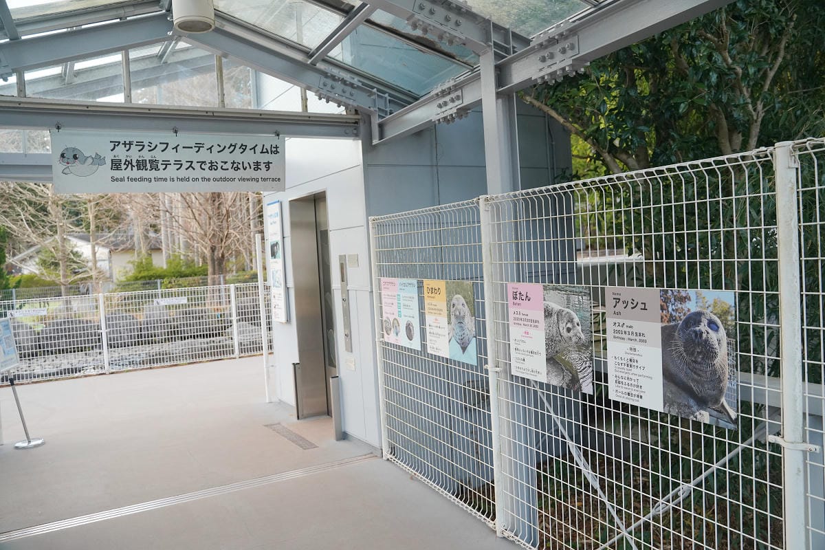 【箱根園水族館】箱根室內景點推薦 日本海拔最高水族館 亞洲小爪水獺握手/貝加爾海豹/可愛企鵝
