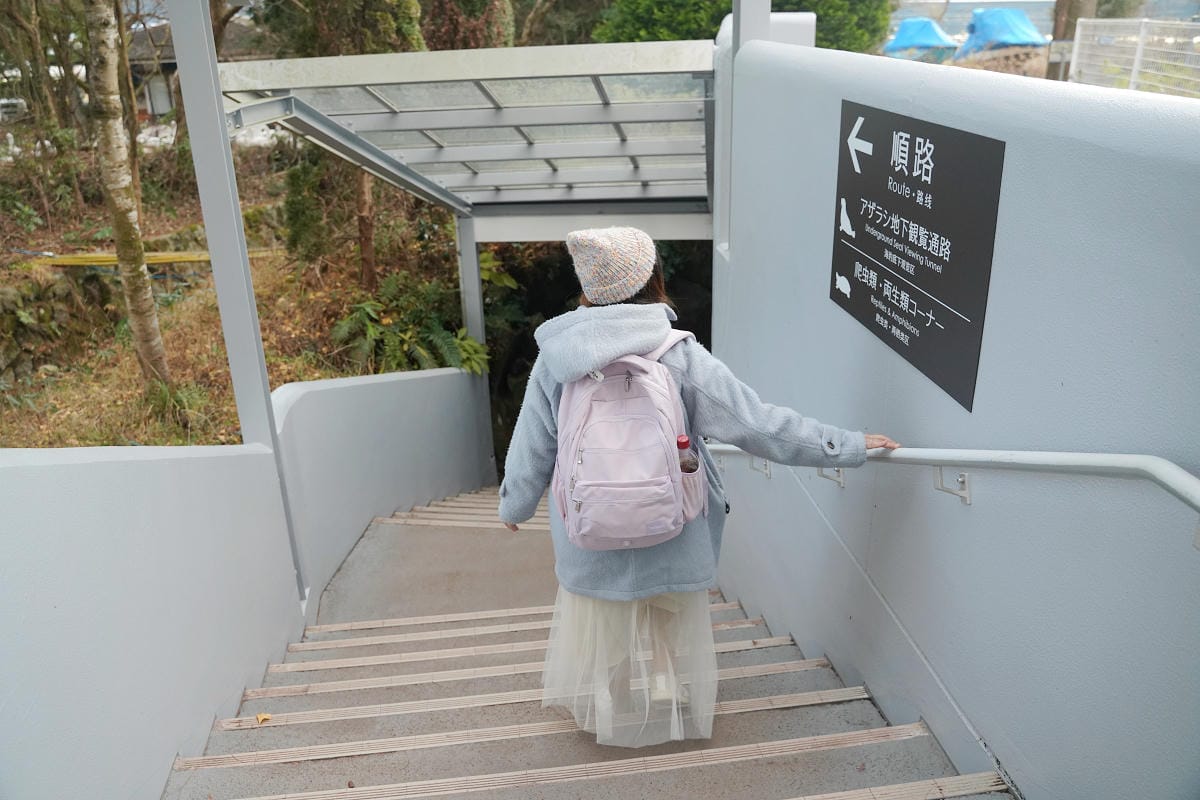 【箱根園水族館】箱根室內景點推薦 日本海拔最高水族館 亞洲小爪水獺握手/貝加爾海豹/可愛企鵝