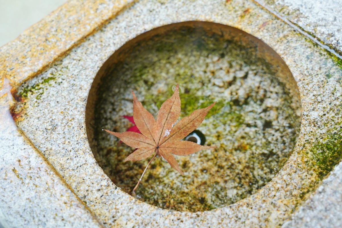 【箱根美術館】箱根景點推薦 箱根歷史最悠久美術館 名勝神仙鄉四季美景盡收眼底 1952年開館