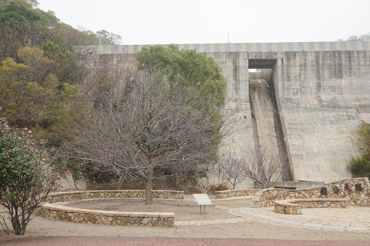 【勝天公園】馬祖南竿免費景點推薦 宋庭園風格唐式亭閣「勝天亭」馬祖超人氣賞櫻景點