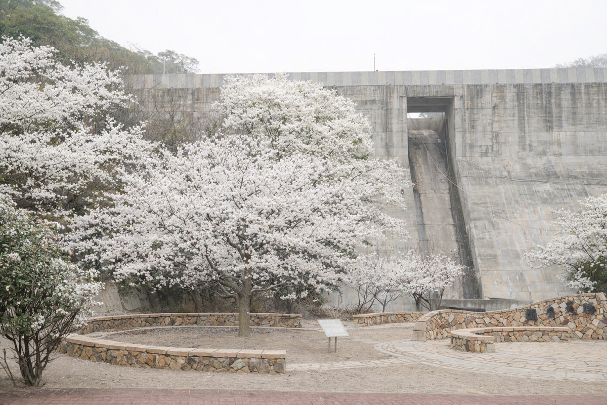 【勝天公園】馬祖南竿免費景點推薦 宋庭園風格唐式亭閣「勝天亭」馬祖超人氣賞櫻景點