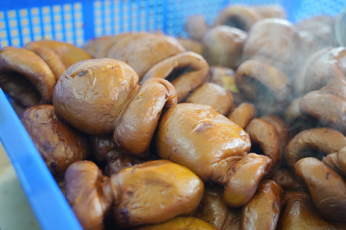 【黃大目大溪豆干】大溪熱滷豆干好選擇 大溪蓮座山觀音寺美食推薦 素雞爪/菜頭/黑豆干美味必點