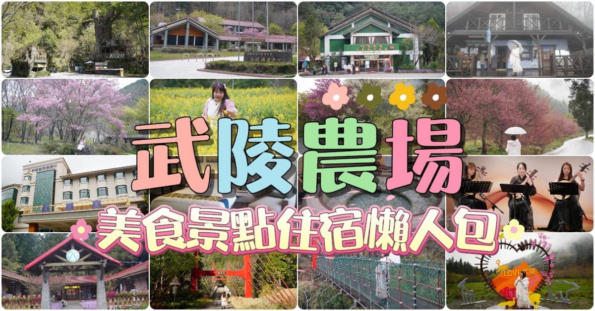 【武陵農場國民賓館山水館】武陵農場住宿推薦 一泊二食自助早晚餐吃到飽 七家灣溪旁盡享優美風景