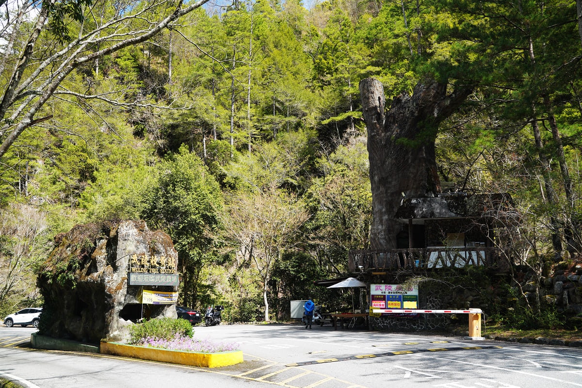 【武陵農場國民賓館山水館】武陵農場住宿推薦 一泊二食自助早晚餐吃到飽 七家灣溪旁盡享優美風景