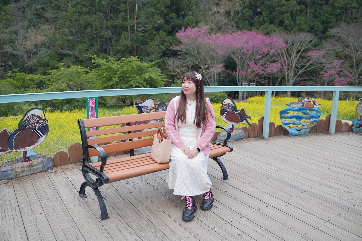 【武陵農場入口花園廣場】絕美油菜花田拍美照好去處 一年四季當季花田網美必訪 武陵農場賞櫻熱點