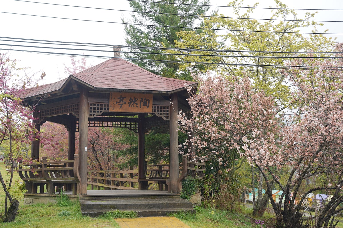 【武陵農場露營區】武陵農場賞花景點推薦 露營小木屋2000元起 帳篷/炊事帳/睡袋現場可租借 - 第7張圖 【武陵農場露營區】武陵農場賞花景點推薦 露營小木屋2000元起 帳篷/炊事帳/睡袋現場可租借