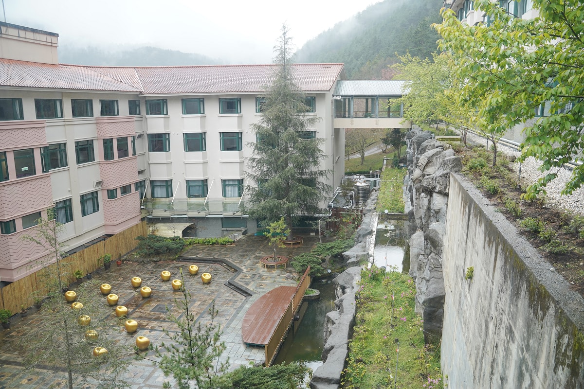 【武陵富野渡假村】武陵農場住宿推薦 多樣化房型+自助餐吃到飽+SPA溫泉 郭董行政套房必住