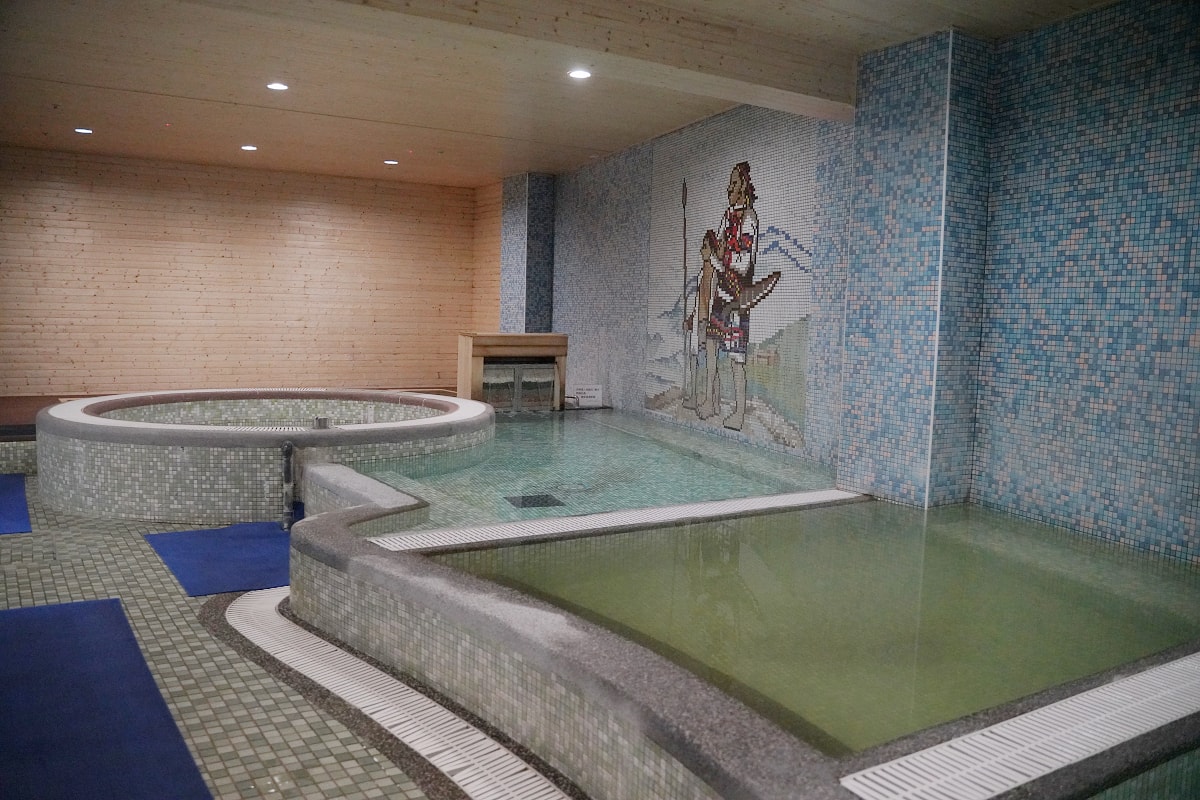 【武陵富野渡假村】武陵農場住宿推薦 多樣化房型+自助餐吃到飽+SPA溫泉 郭董行政套房必住