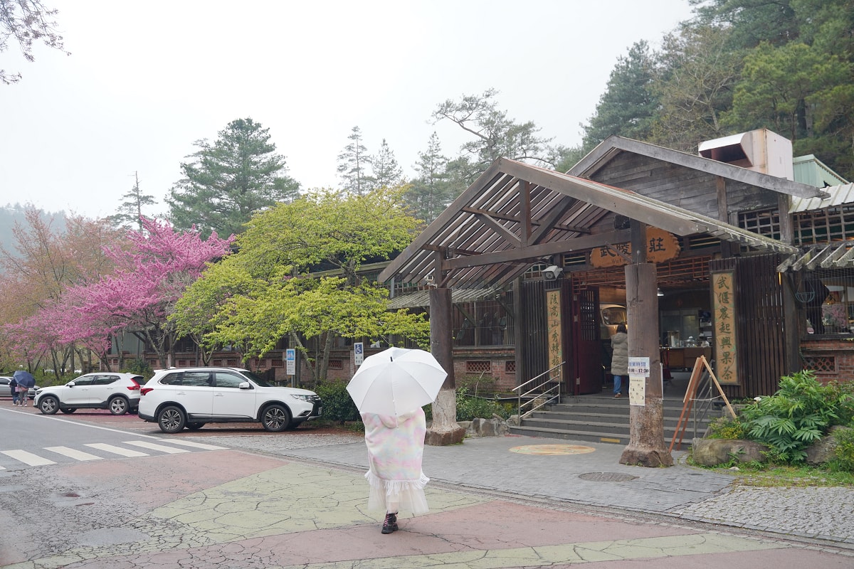 【武陵茶莊】櫻花林環繞賞鳥熱門據點 古樸原住民木雕用餐環境 精緻餐飲品茗體驗 豐富伴手禮展售 - 第2張圖 【武陵茶莊】櫻花林環繞賞鳥熱門據點 古樸原住民木雕用餐環境 精緻餐飲品茗體驗 豐富伴手禮展售