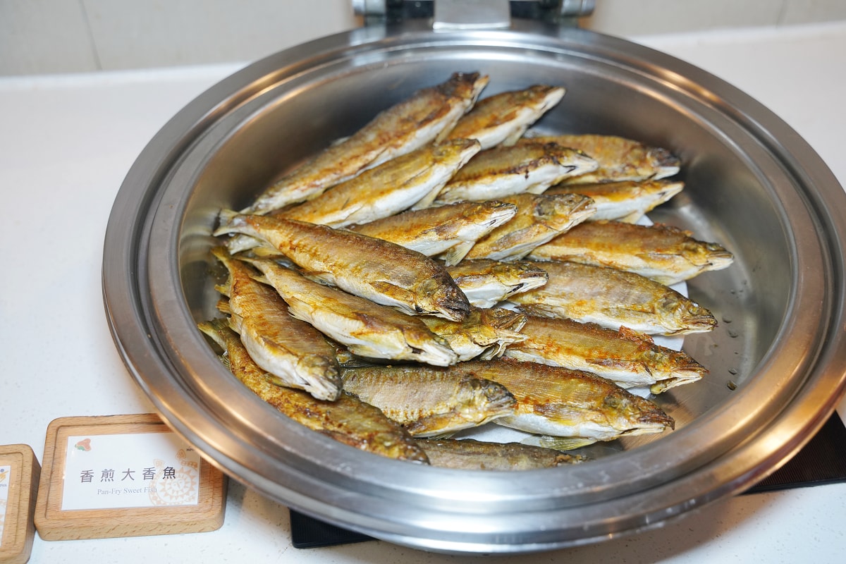 【武陵富野渡假村】武陵農場住宿推薦 多樣化房型+自助餐吃到飽+SPA溫泉 郭董行政套房必住