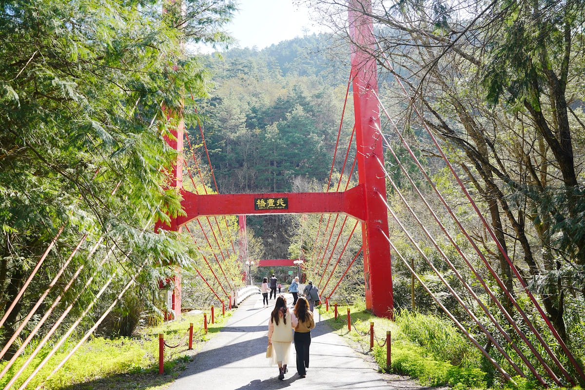 【武陵農場茶園步道】橫跨七家灣溪兆豐橋 櫻花林結合茶園步道美景 網美景點觀月亭拍美照必訪 - 第2張圖 【武陵農場茶園步道】橫跨七家灣溪兆豐橋 櫻花林結合茶園步道美景 網美景點觀月亭拍美照必訪