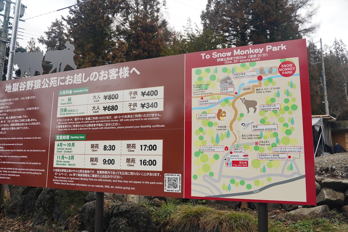 【地獄谷野猿公苑】全世界棲息地最北非人類靈長類動物 愛泡溫泉的野生日本獼猴 成立於1964年 - 第2張圖 【地獄谷野猿公苑】全世界棲息地最北非人類靈長類動物 愛泡溫泉的野生日本獼猴 成立於1964年