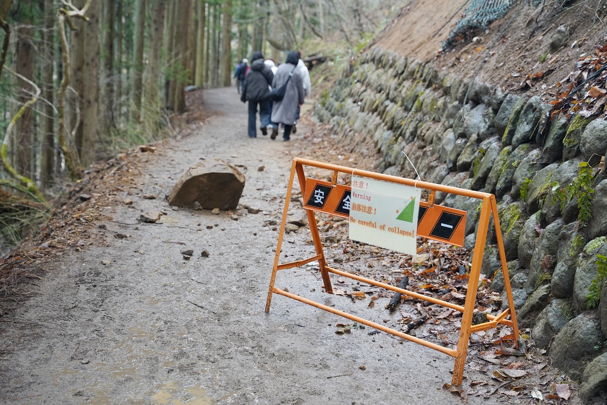 【地獄谷野猿公苑】全世界棲息地最北非人類靈長類動物 愛泡溫泉的野生日本獼猴 成立於1964年 - 第10張圖 【地獄谷野猿公苑】全世界棲息地最北非人類靈長類動物 愛泡溫泉的野生日本獼猴 成立於1964年