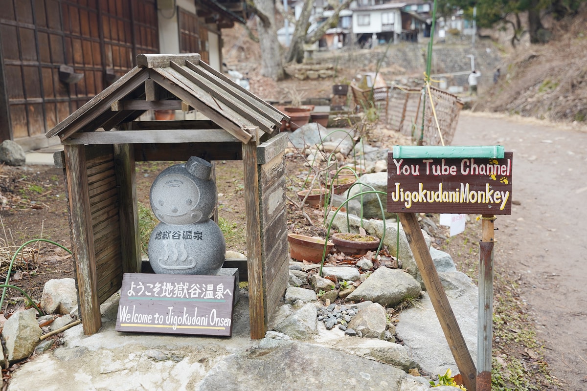 【地獄谷野猿公苑】全世界棲息地最北非人類靈長類動物 愛泡溫泉的野生日本獼猴 成立於1964年 - 第14張圖 【地獄谷野猿公苑】全世界棲息地最北非人類靈長類動物 愛泡溫泉的野生日本獼猴 成立於1964年