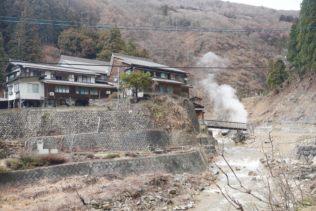 【地獄谷野猿公苑】全世界棲息地最北非人類靈長類動物 愛泡溫泉的野生日本獼猴 成立於1964年 - 第17張圖 【地獄谷野猿公苑】全世界棲息地最北非人類靈長類動物 愛泡溫泉的野生日本獼猴 成立於1964年