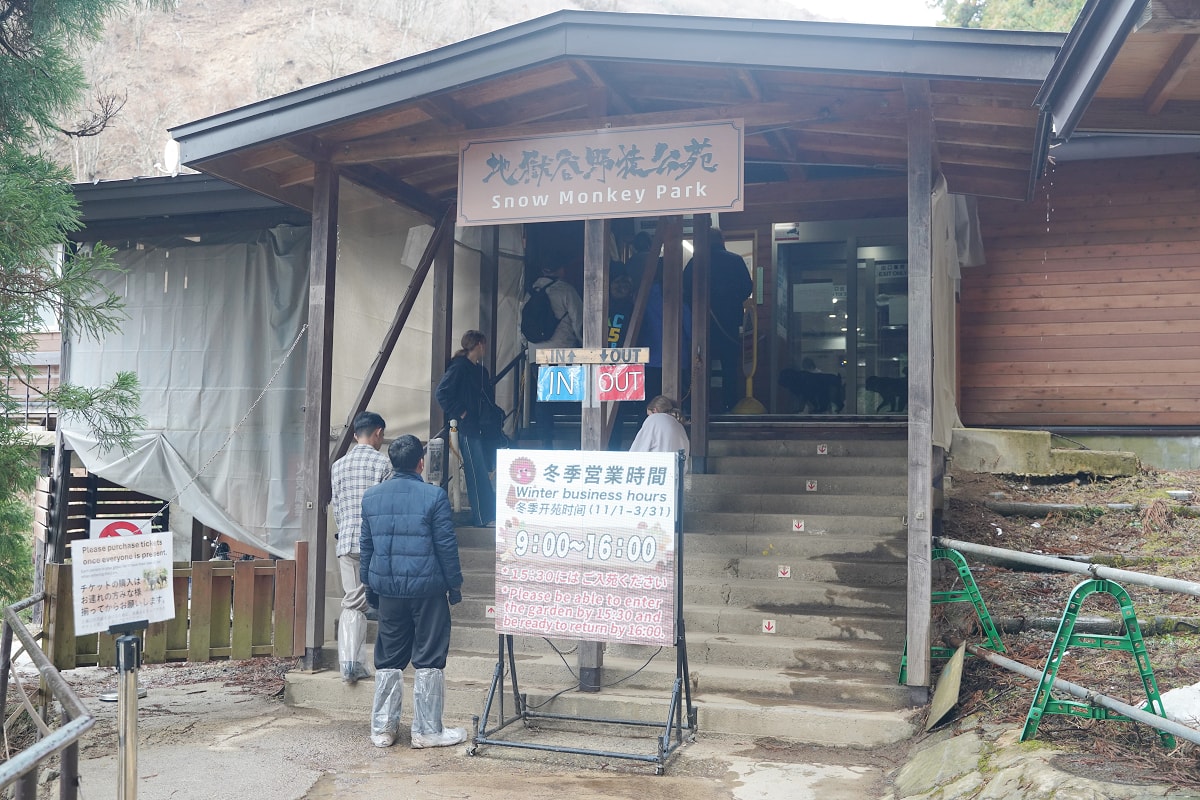 【地獄谷野猿公苑】全世界棲息地最北非人類靈長類動物 愛泡溫泉的野生日本獼猴 成立於1964年 - 第18張圖 【地獄谷野猿公苑】全世界棲息地最北非人類靈長類動物 愛泡溫泉的野生日本獼猴 成立於1964年