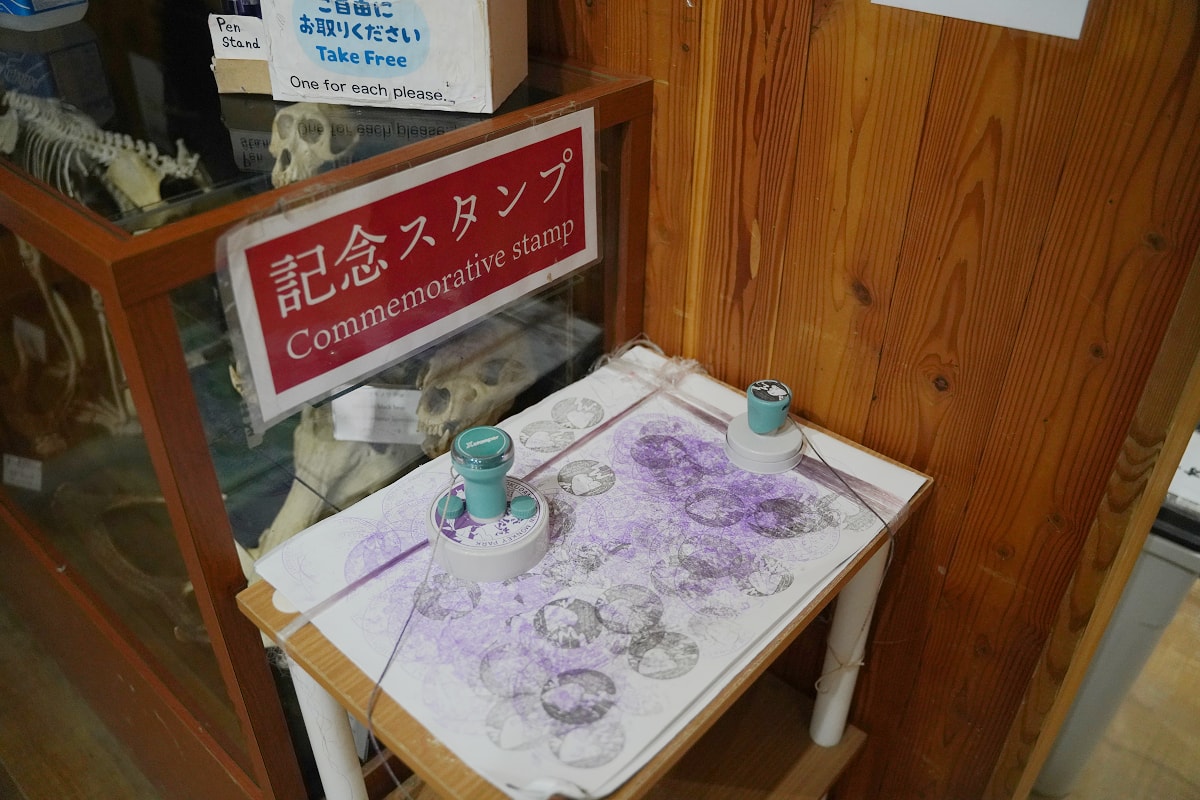 【地獄谷野猿公苑】全世界棲息地最北非人類靈長類動物 愛泡溫泉的野生日本獼猴 成立於1964年 - 第36張圖 【地獄谷野猿公苑】全世界棲息地最北非人類靈長類動物 愛泡溫泉的野生日本獼猴 成立於1964年