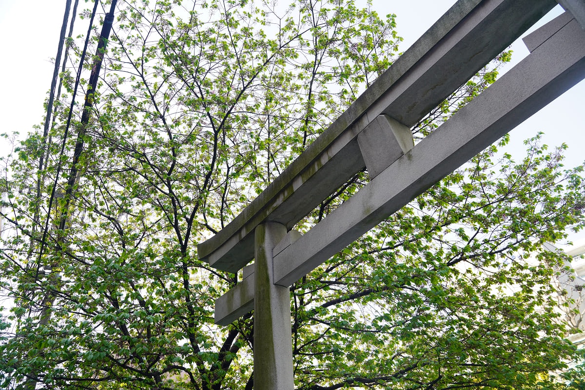 【藏前神社】東京藏前必去景點 建於1694年東京賞櫻景點推薦 春天必拍「藏前櫻＋金合歡」美景
