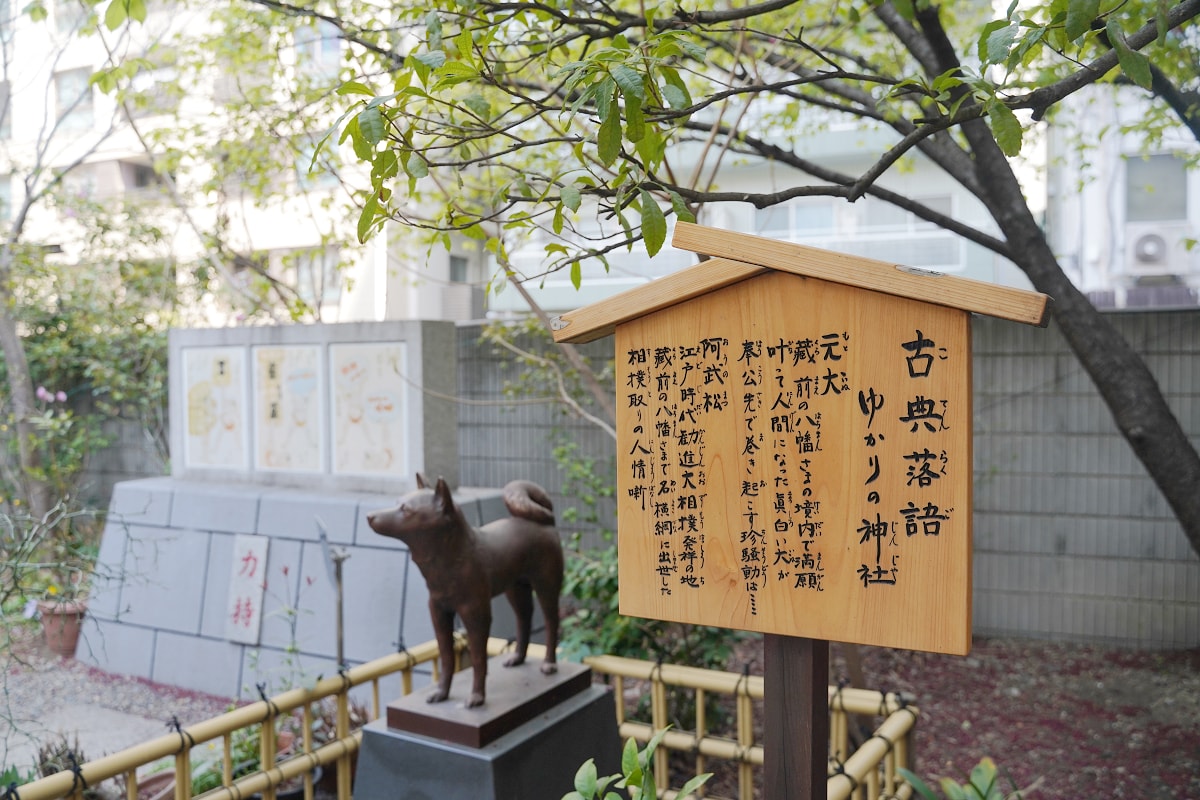 【藏前神社】東京藏前必去景點 建於1694年東京賞櫻景點推薦 春天必拍「藏前櫻＋金合歡」美景