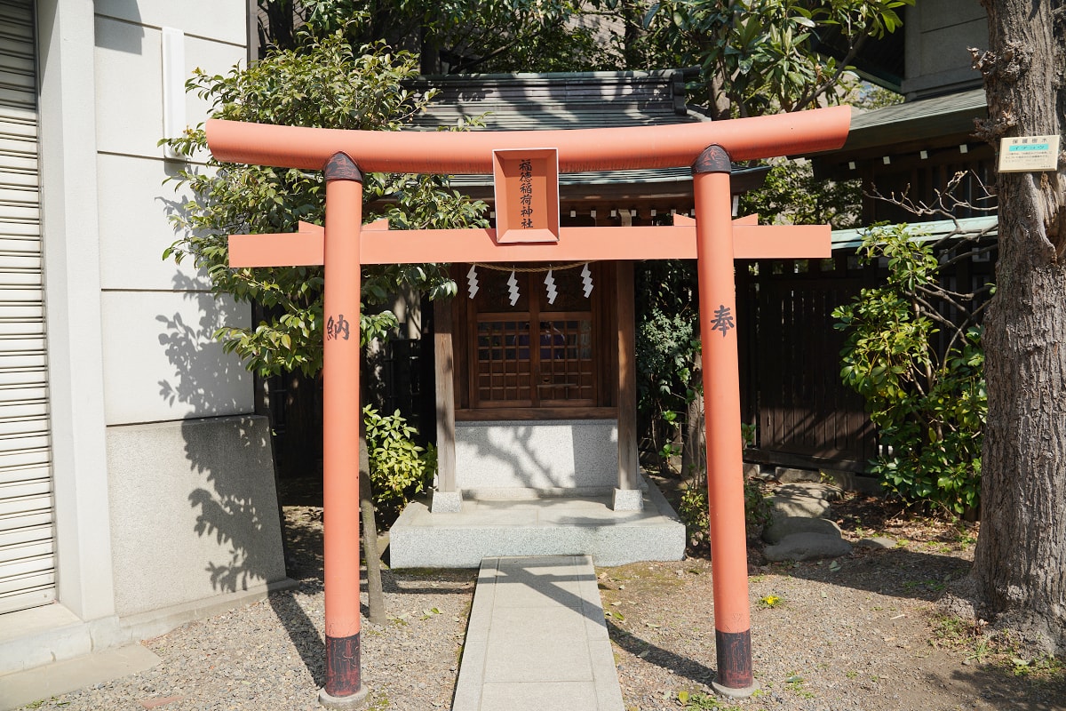 【藏前神社】東京藏前必去景點 建於1694年東京賞櫻景點推薦 春天必拍「藏前櫻＋金合歡」美景