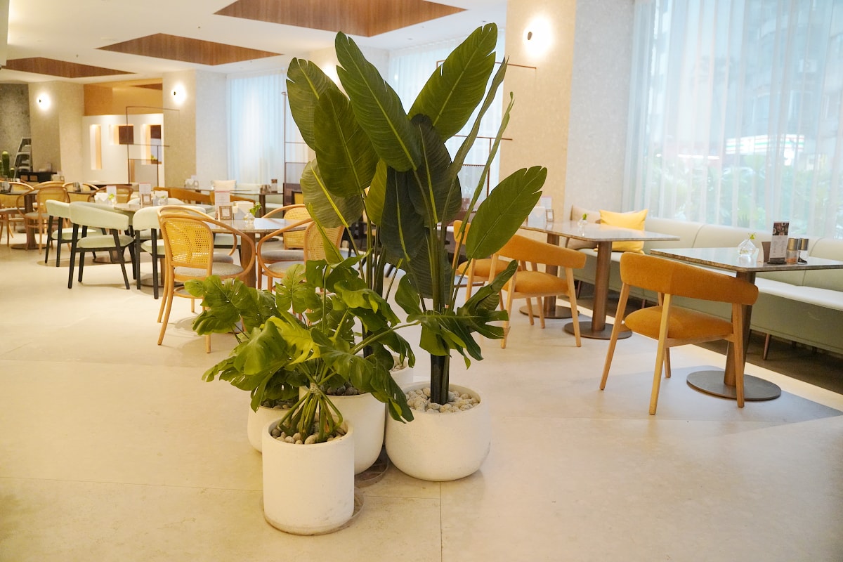 【國聯大飯店】台北101景觀飯店推薦 台北大巨蛋第一排 城市型輕奢假期約會孝親住宿首選