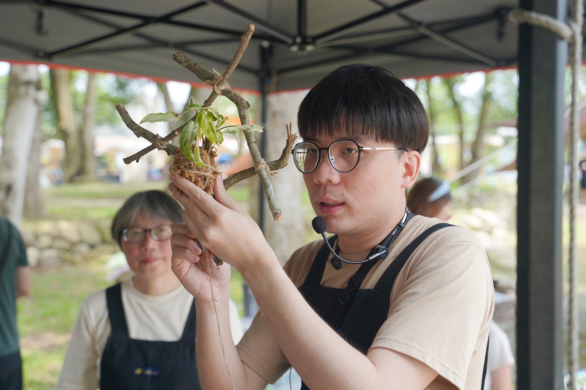 【2026 漫步康莊：大家來作客】在大溪康莊遇見最美的桐花生活 康莊小農市集/低碳健走闖關/桐花午宴/親子手作美學